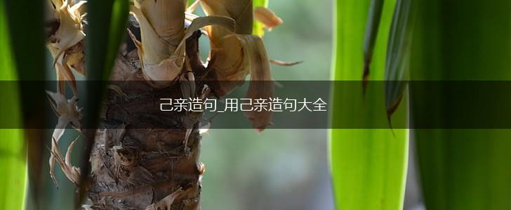 己亲造句_用己亲造句大全,第1张