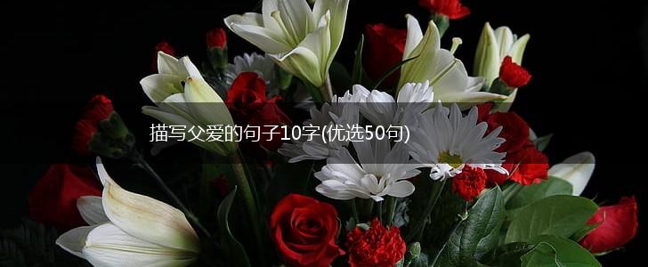 描写父爱的句子10字(优选50句),第1张