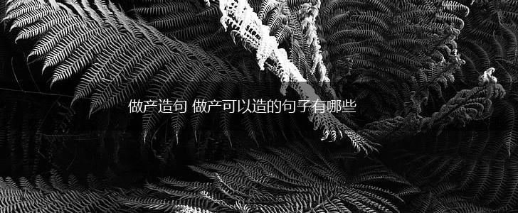 做产造句 做产可以造的句子有哪些,第1张