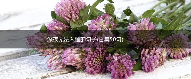 深夜无法入睡的句子(合集50句),第1张