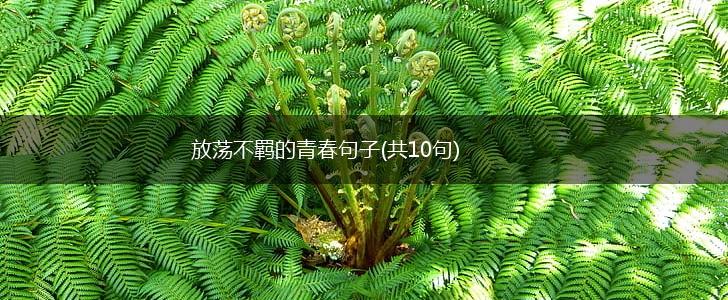 放荡不羁的青春句子(共10句),第1张