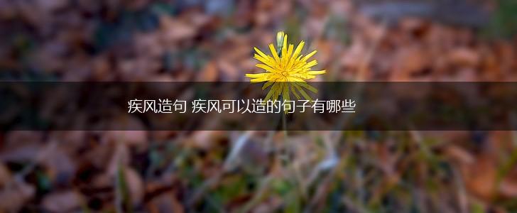 疾风造句 疾风可以造的句子有哪些,第1张