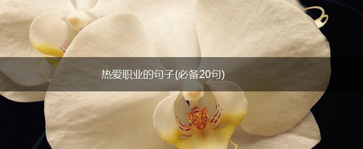 热爱职业的句子(必备20句),第1张