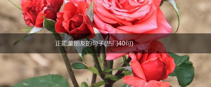 正能量朋友的句子(热门40句),第1张
