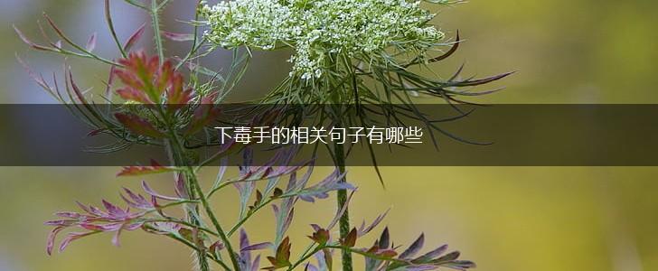 下毒手的相关句子有哪些,第1张