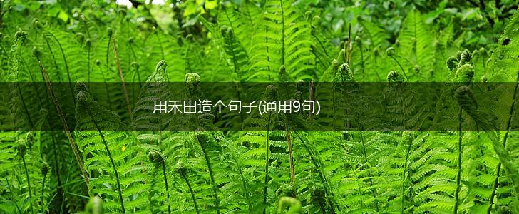 用禾田造个句子(通用9句),第1张