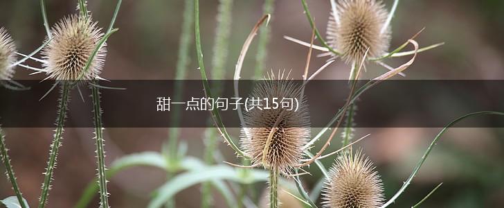 甜一点的句子(共15句),第1张