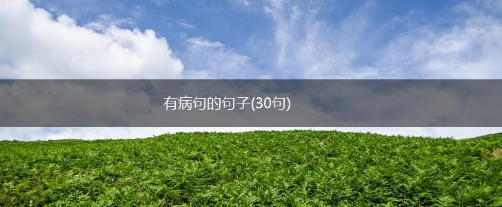 有病句的句子(30句),第1张