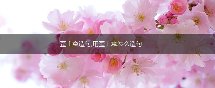歪主意造句,用歪主意怎么造句,第1张