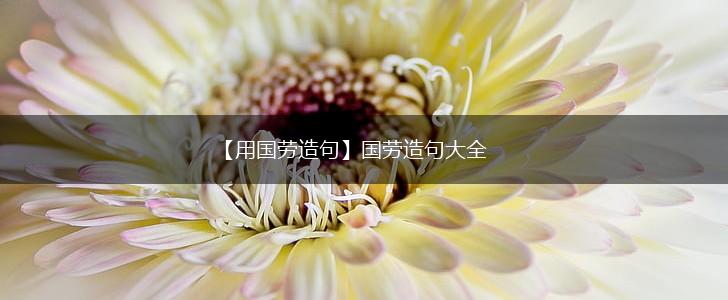 【用国劳造句】国劳造句大全,第1张