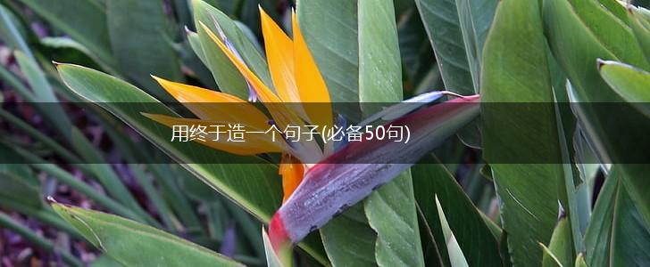 用终于造一个句子(必备50句),第1张