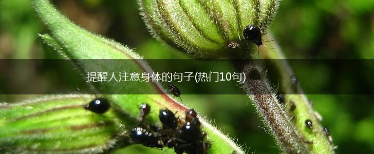 提醒人注意身体的句子(热门10句),第1张