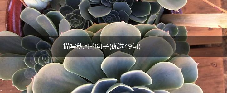 描写秋风的句子(优选49句),第1张