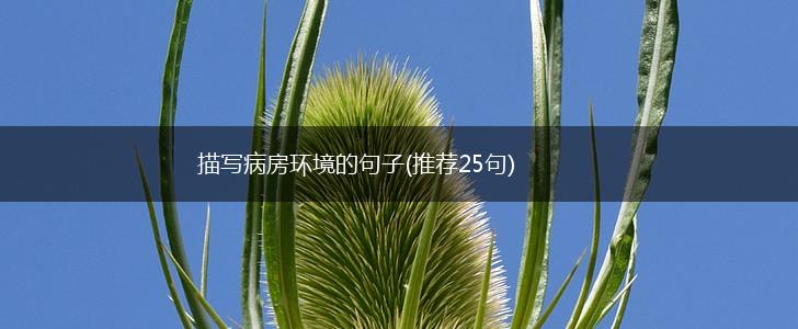 描写病房环境的句子(推荐25句),第1张