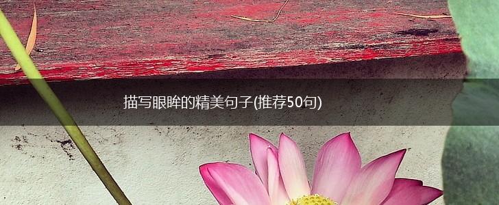 描写眼眸的精美句子(推荐50句),第1张