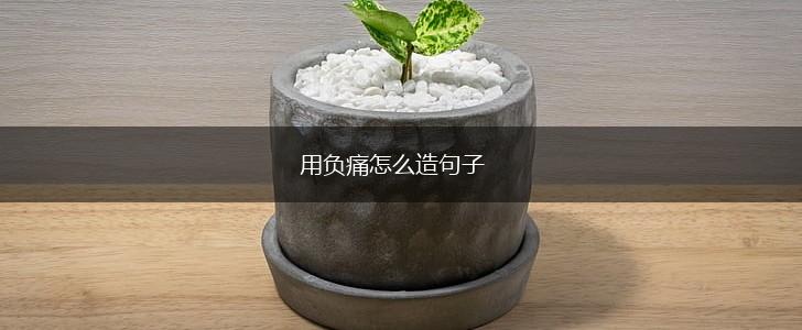 用负痛怎么造句子,第1张