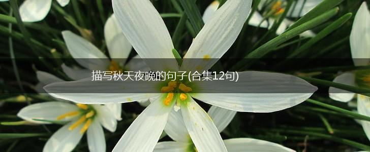 描写秋天夜晚的句子(合集12句),第1张