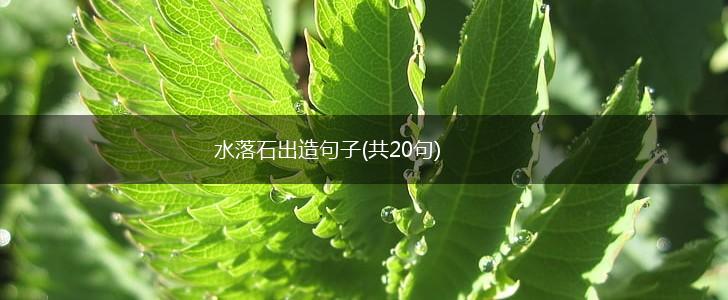 水落石出造句子(共20句),第1张
