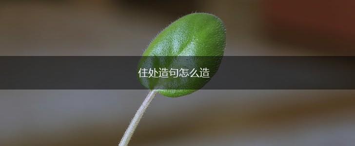 住处造句怎么造,第1张