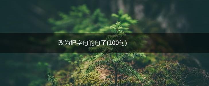 改为把字句的句子(100句),第1张