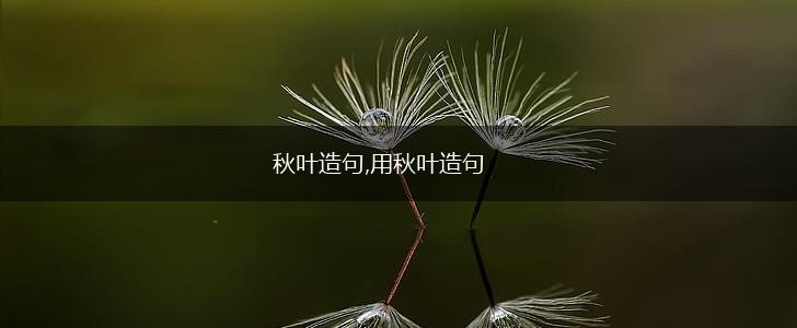 秋叶造句,用秋叶造句,第1张