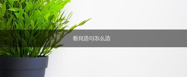 看見造句怎么造,第1张