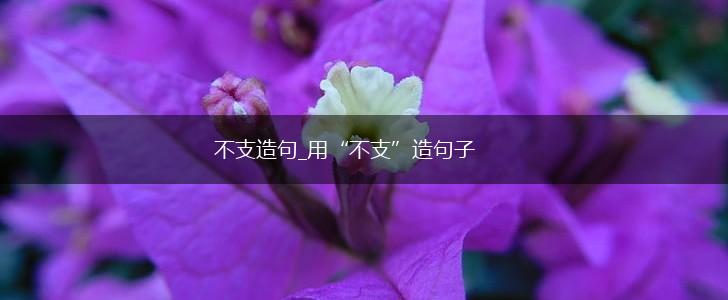不支造句_用“不支”造句子,第1张