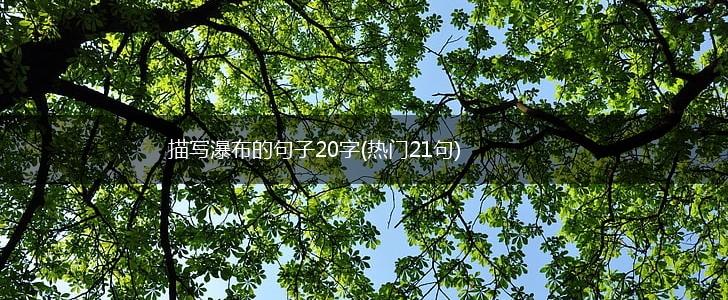 描写瀑布的句子20字(热门21句),第1张