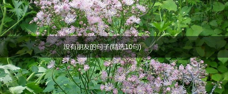 没有朋友的句子(精选10句),第1张