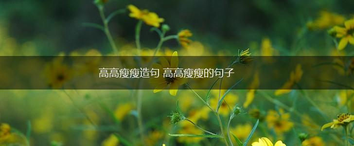 高高瘦瘦造句 高高瘦瘦的句子,第1张