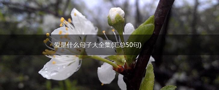 爱是什么句子大全集(汇总50句),第1张
