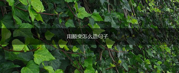 用顺变怎么造句子,第1张