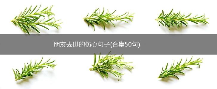 朋友去世的伤心句子(合集50句),第1张