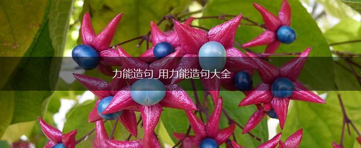 力能造句_用力能造句大全,第1张