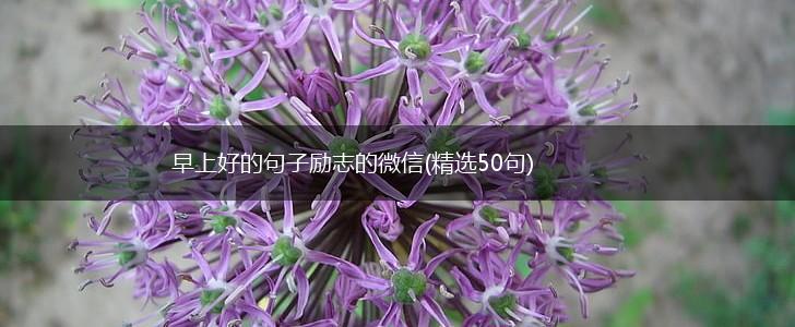 早上好的句子励志的微信(精选50句),第1张
