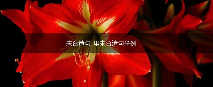 未合造句_用未合造句举例,第1张