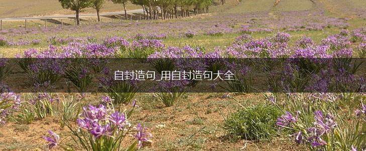自封造句_用自封造句大全,第1张