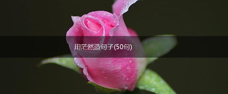 用茫然造句子(50句),第1张