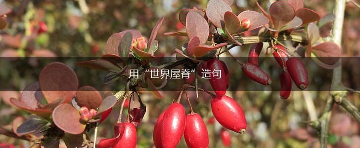 用“世界屋脊”造句,第1张
