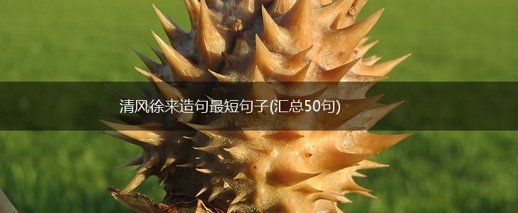 清风徐来造句最短句子(汇总50句),第1张