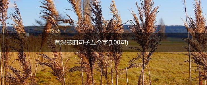 有深意的句子五个字(100句),第1张