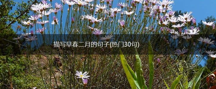描写早春二月的句子(热门30句),第1张