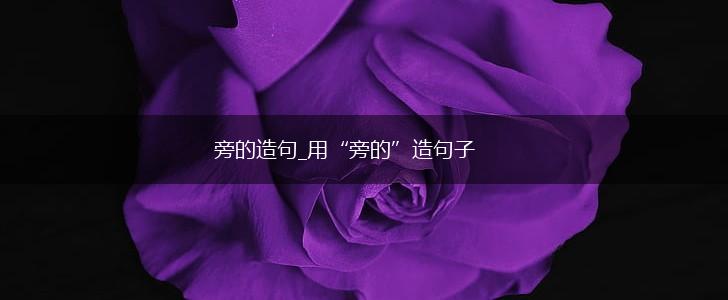 旁的造句_用“旁的”造句子,第1张
