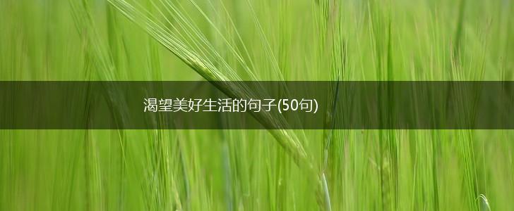 渴望美好生活的句子(50句),第1张