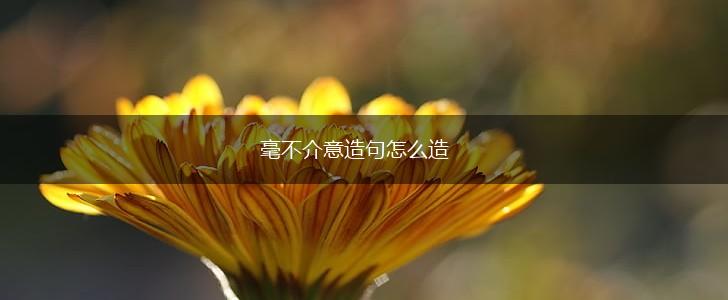 毫不介意造句怎么造,第1张