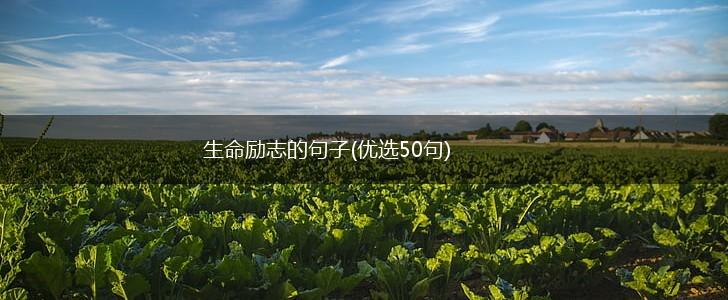 生命励志的句子(优选50句),第1张