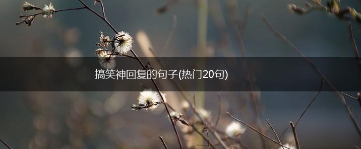 搞笑神回复的句子(热门20句),第1张