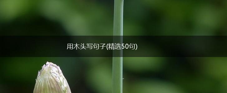 用木头写句子(精选50句),第1张