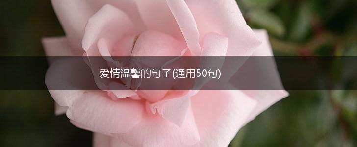 爱情温馨的句子(通用50句),第1张