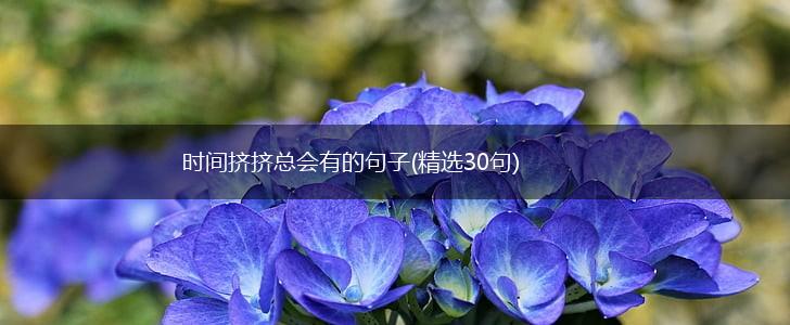 时间挤挤总会有的句子(精选30句),第1张
